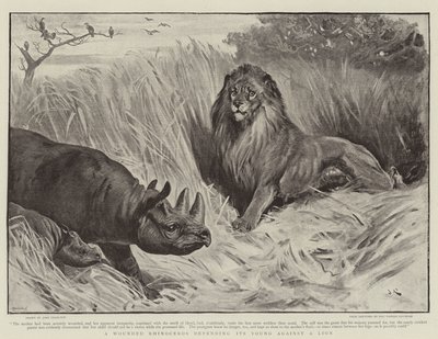 A Wounded Rhinoceros Defending Its Young Against a Lion by John Charlton